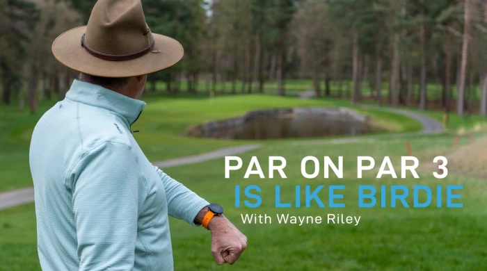 when pars are actually birdies